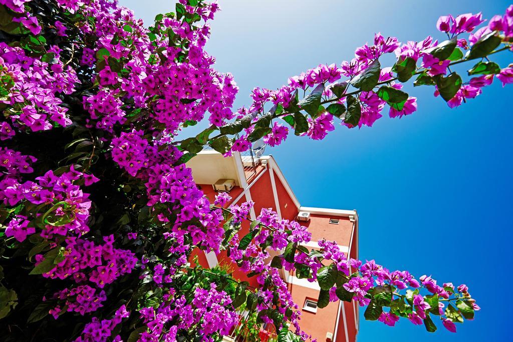 Villa Bojana Budva Eksteriør billede