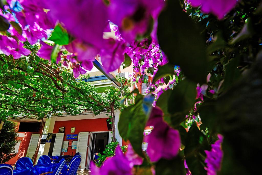 Villa Bojana Budva Eksteriør billede